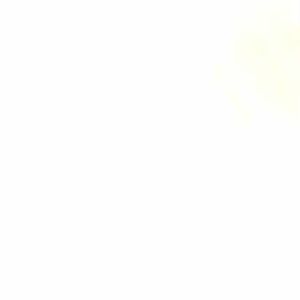 Meet your Posher, Allie